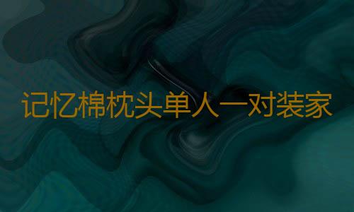 记忆棉枕头单人一对装家用颈椎专用护颈椎助睡眠男女学生宿舍枕芯